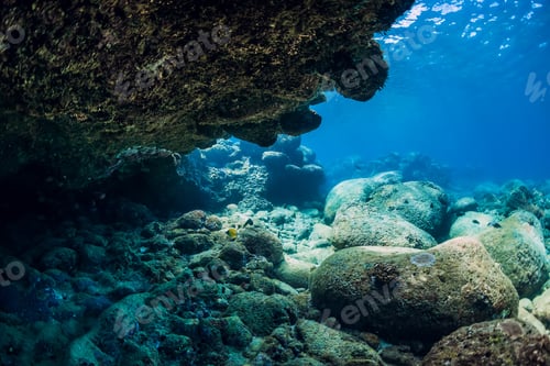 Preview: Tranquil underwater scene with copy space. Tropical transparent sea