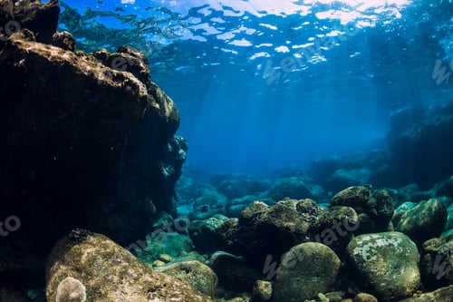 Preview: Tranquil underwater scene with copy space. Tropical transparent sea with corals and rocks