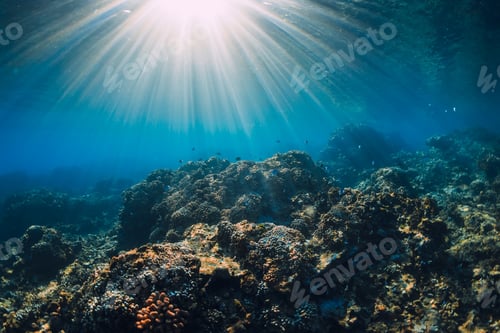 Preview: Tropical sea with corals and sun rays. Tranquil underwater scene with copy space.