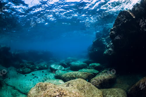 Preview: Tranquil underwater scene with copy space. Tropical transparent ocean with rock and stone