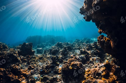 Preview: Underwater scene with corals, rocks and sun rays. Tropical ocean and reef