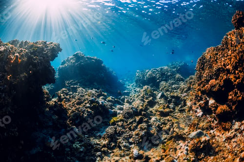 Preview: Underwater scene with corals, rocks and sun rays. Tropical blue sea