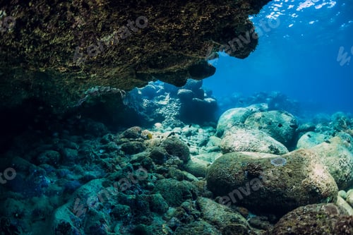 Preview: Underwater scene with rocks and stones. Tropical ocean