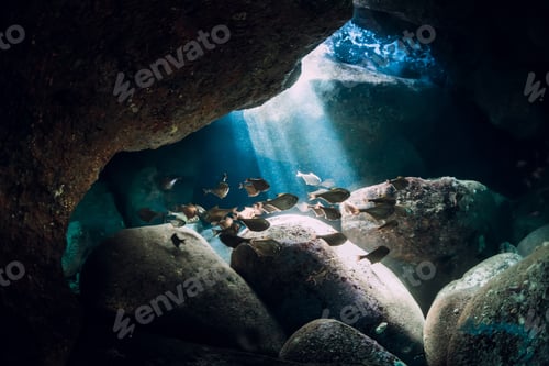 Preview: Underwater cave with sunrays school of fish in ocean