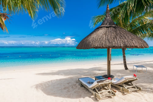 Preview: Chairs and umbrella at luxury beach with palms.