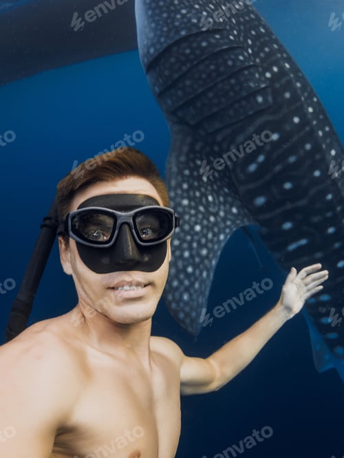 Preview: Snorkeler man swimming beside whale shark in tropical blue ocean