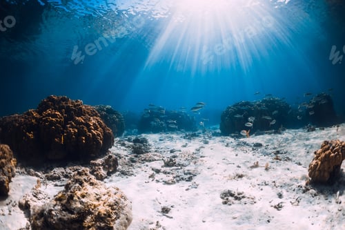 Preview: Underwater view with corals, sand and sun rays. Tropical sea