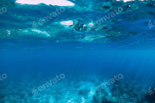 Vorschau: Tropisches transparentes Meer unter Wasser in den Tropen