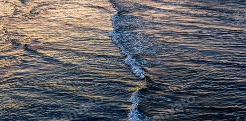 Preview: Sea waves at sunset light. Golden water texture with ripples.