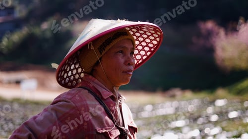 Preview: Asian woman farmer standing in strawberry field, wearing traditional conical hat, looking up