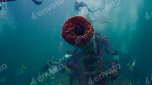 Preview: Underwater view of an old cannon barrel encrusted with marine growth, a fish living inside