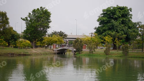 Preview: People walking on a small stone bridge over a pond in a green urban park