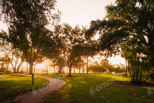 Preview: Walkers in Landings Park, Naples, Florida at sunrise