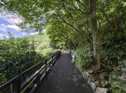 Preview: Forest path mountain trail green canopy asphalt walkway railing summer landscape shaded scenic walkw