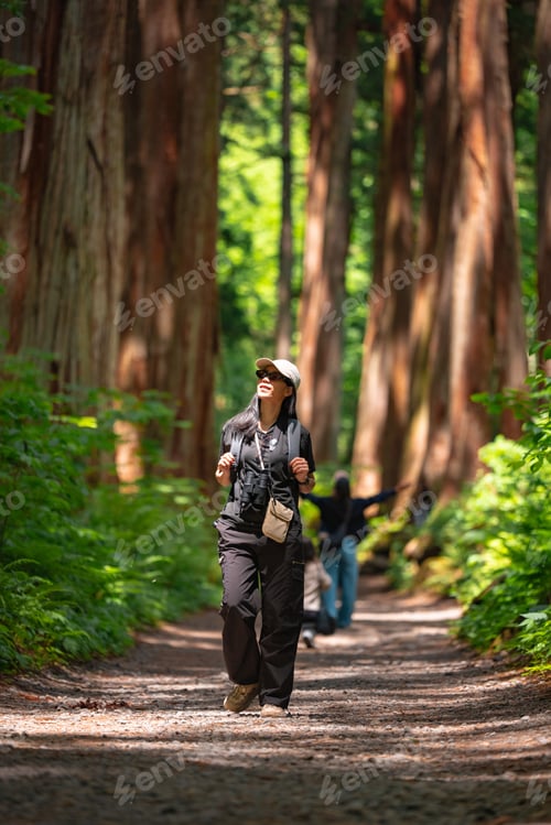 Preview: Forest hiker trail tree woman scenic walk among tall trunk with happy expression