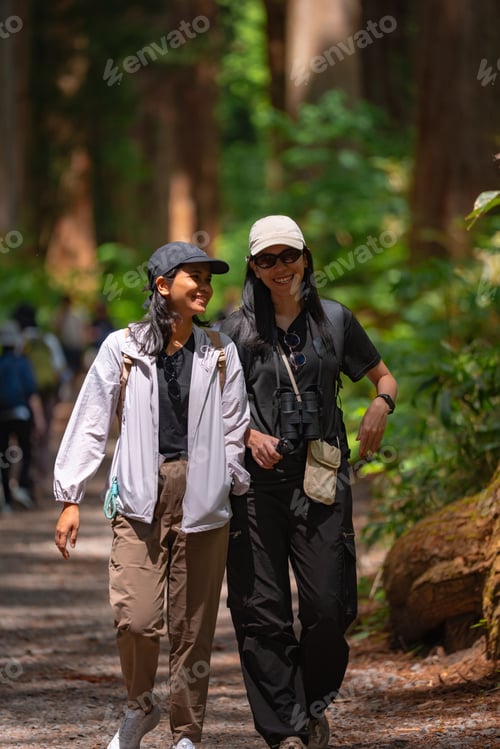 Preview: Hiker, forest, trail, woman, outdoor friends walking through woodland path