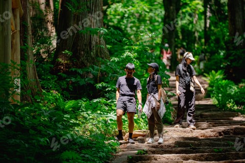 Preview: Forest hiker trail nature tree Women walking along forest trail in green woodland