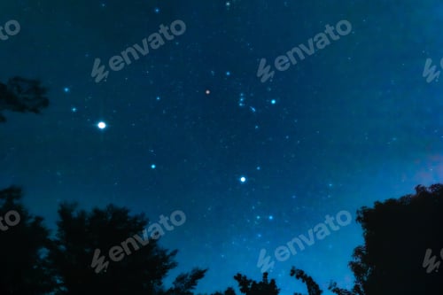 Preview: Night sky, star, constellation, silhouette forest under blue celestial view