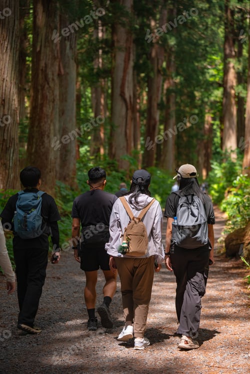Preview: Hiker forest trail backpack group walking among tall tree