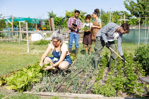 Preview: Diverse people gardening together in organic community garden