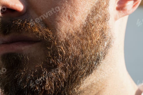Preview: Closeup of Beard and Facial Hair