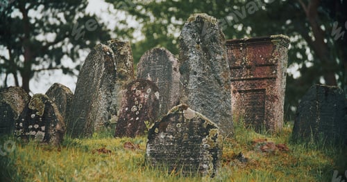 Preview: Old ancient Jewish cemetery in summer spring day. green grass an