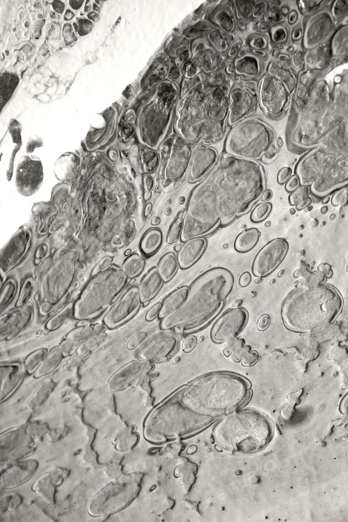 Preview: The texture of marble. Spread-out acrylic paint. Abstract background, made in the technique of fluid