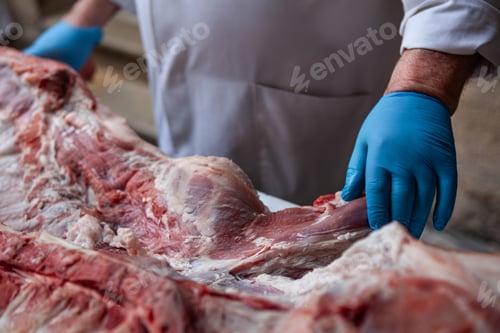 Preview: Piece of meat in a butchers's shop