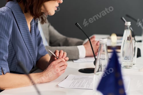 Preview: Middle Aged Woman Speaking at Business Conference Panel