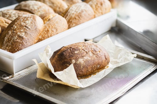 Preview: Artisan Sourdough Bread Loaves Made with Wheat Starter in Bakery