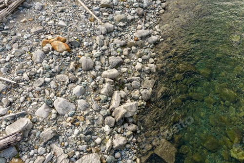 Preview: Rocky Shoreline At Harrison Lake BC Canada With Clear Green Water And Driftwood