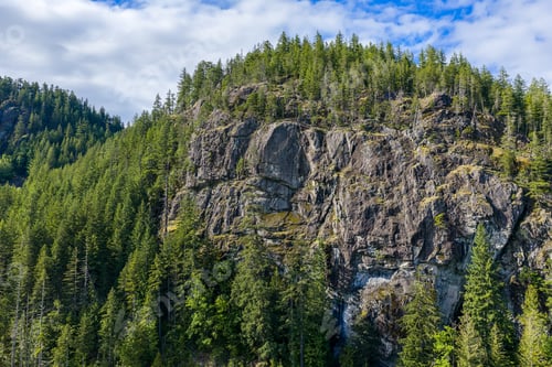 Preview: Evergreen Forest and Rocky Cliff on a Mountain in British Columbia, BC, Canada