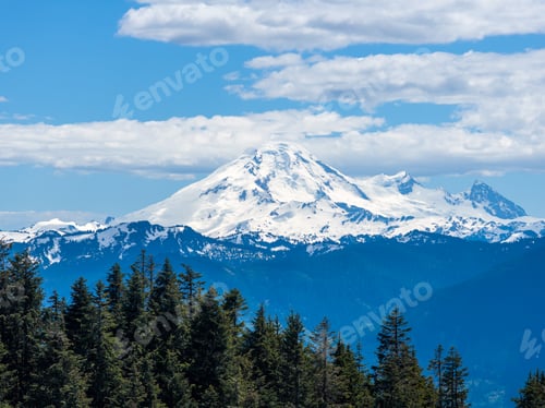 Preview: Snowcapped Mountain Landscape Over Fir Forest With Blue Sky in Fraser Valley, Chilliwack BC Canada
