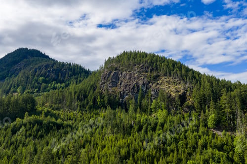 Preview: Lush Evergreen Forest and Rocky Mountain Ridge Under Cloudy Sky in BC Canada