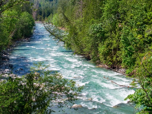 Preview: Turquoise Mountain River Flowing Through Lush Evergreen Forest in Fraser Valley Chilliwack BC Canada