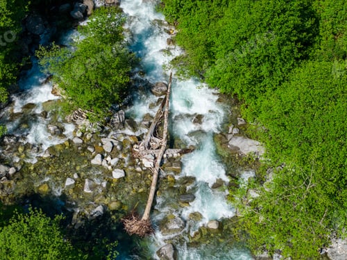 Preview: Aerial View of Turquoise Mountain Stream Rapids Through Lush Green Forest in BC Canada
