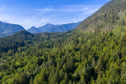 Preview: Lush Evergreen Mountain Forest Panorama With Distant Peaks in British Columbia, Canada