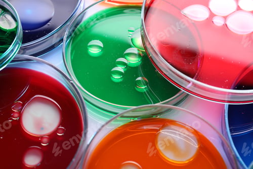 Preview: Biochemistry. Petri dishes with samples on table, closeup
