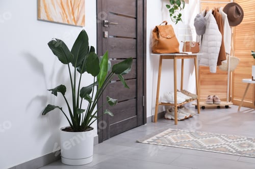 Preview: Hallway with stylish furniture, shoes and clothes. Interior design