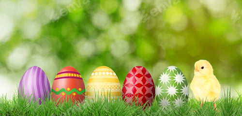 Preview: Easter eggs and cute fluffy chick in green grass outdoors