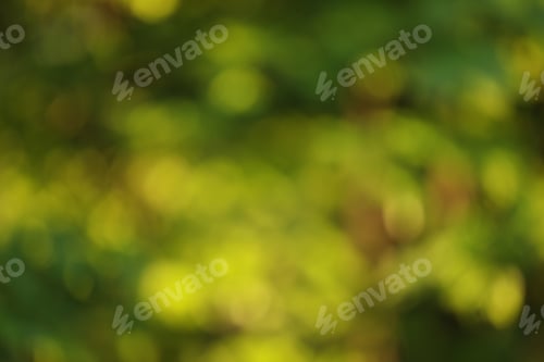 Preview: Blurred view of green and yellow background. Bokeh effect