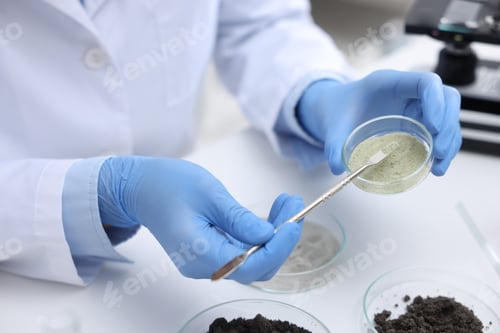 Preview: Laboratory testing. Scientist taking sample of sand for research at white table indoors, closeup