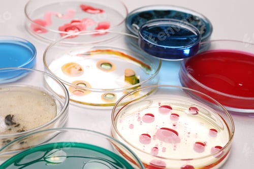 Preview: Biochemistry. Petri dishes with samples on table, closeup