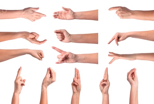 Preview: Collection of hand gestures isolated on white. Women showing arms, closeup
