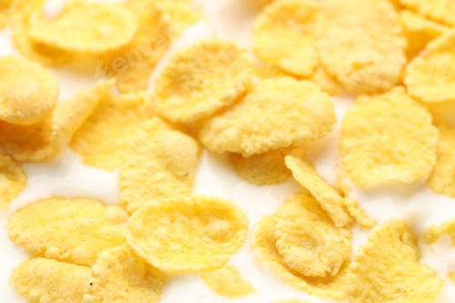 Preview: Tasty corn flakes with milk as background, closeup
