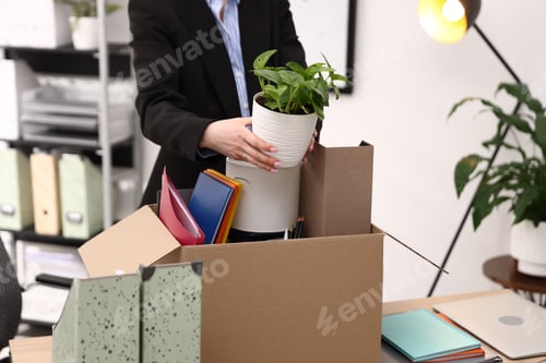 Preview: Dismissal. Woman packing her personal belongings into cardboard box at wooden table in office, close