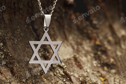 Preview: Holocaust Remembrance Day. Pendant in shape of Star of David hanging above tree bark, closeup. Space