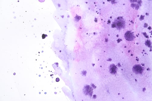 Preview: Abstract purple watercolor painting on white paper, top view
