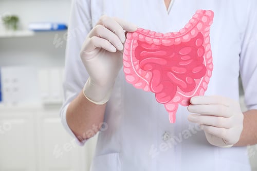 Preview: Doctor with paper intestine cutout in clinic, closeup