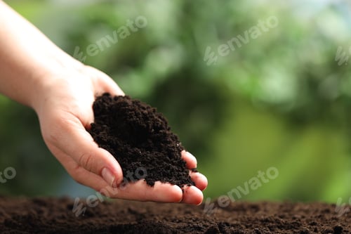 Preview: Woman with fresh soil on blurred background, closeup